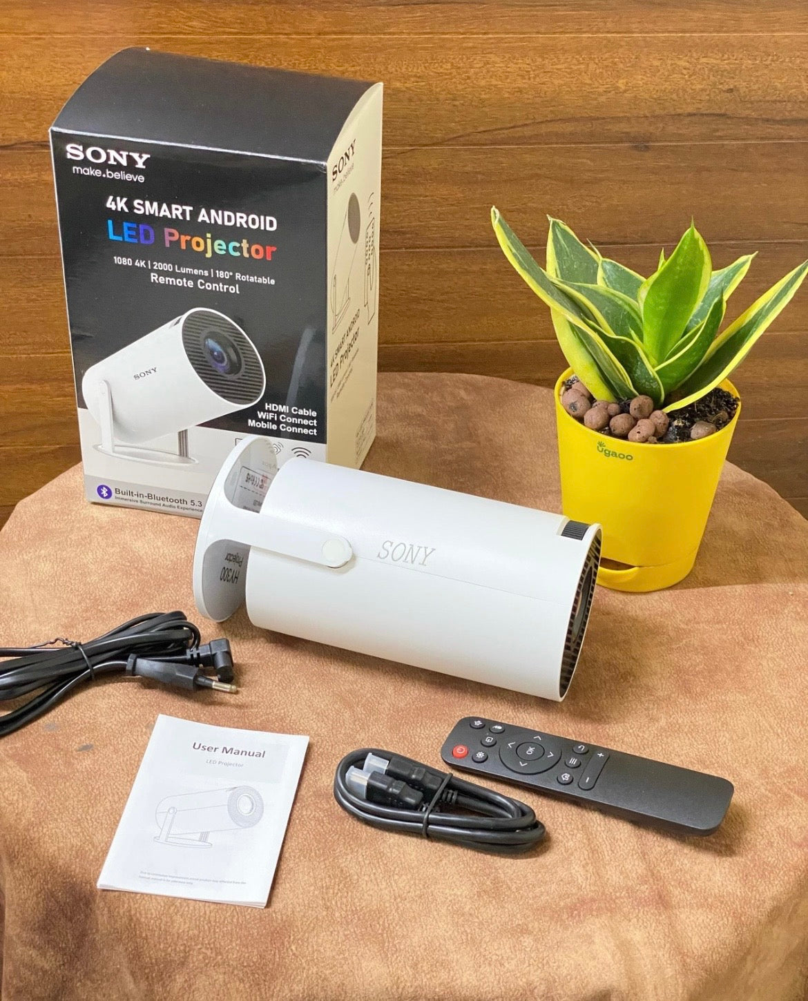 SONY 4k Projector
